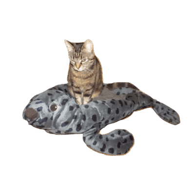 Mandje pluche -zeehond