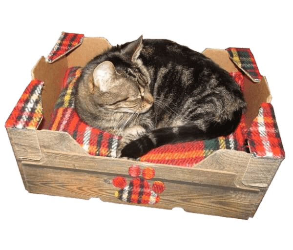 Mand/Kattenkratje plaidstof