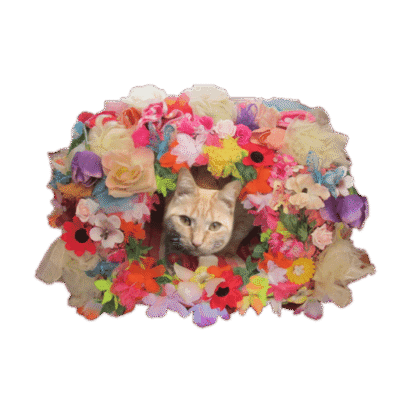 Bloemenhutje maat L