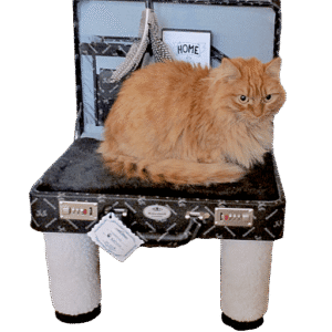 Attaché Koffermeubel M