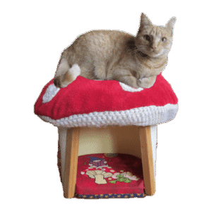 Iglo Paddenstoel maat M