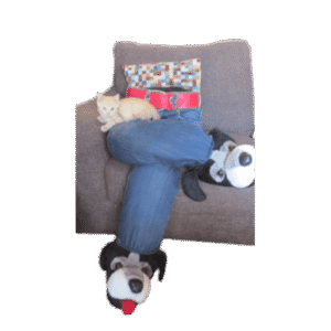 Alternatieve Katten “schoot” met pantoffels