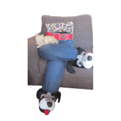 Alternatieve Katten “schoot” met pantoffels