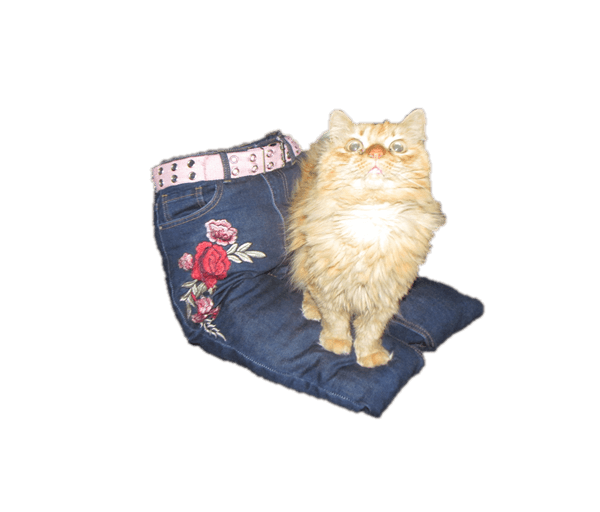 Alternatieve Katten “schoot” spijkerstof met bloemen - Afbeelding 2