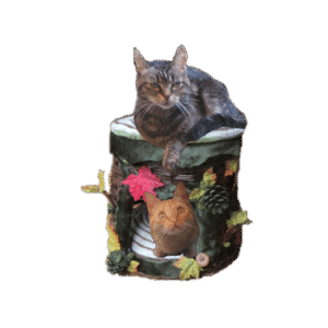 Hutjes, tipi's en iglo’s