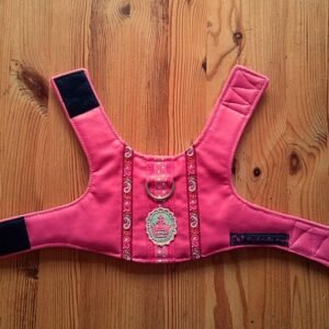 Tuigje S - roze nepleer + 3 randen en kroontjesapplicatie