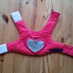 Tuigje S - rood met witte stippen + zilveren hart