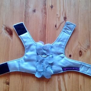 Tuigje S - Zilver met zilveren bloemenrand