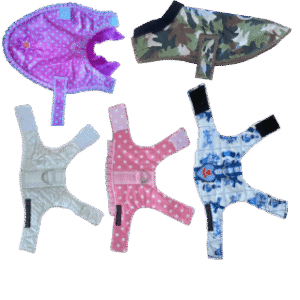 Tuigjes/dekjes kleine hondjes