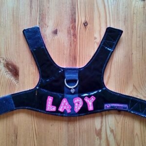 Tuigje S - zwart glimmend met LADY in roze