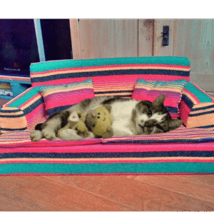 .Bankje Mexicaans voor kat/klein hondje