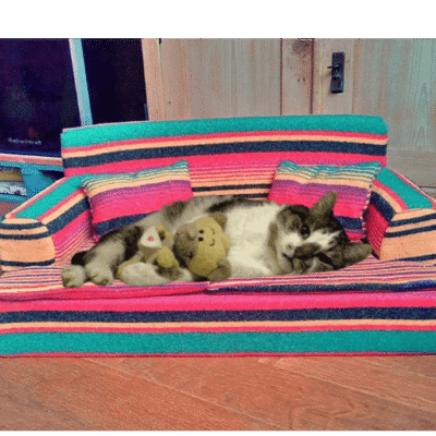 .Bankje Mexicaans voor kat/klein hondje