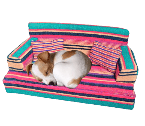 Mexicaans bankje-hondje