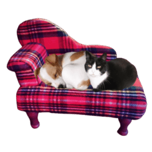 Overige artikelen voor dieren