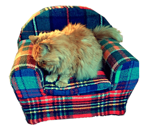 .Plaidstoeltje kat/klein hondje - Afbeelding 12