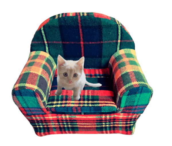 .Plaidstoeltje kat/klein hondje - Afbeelding 2