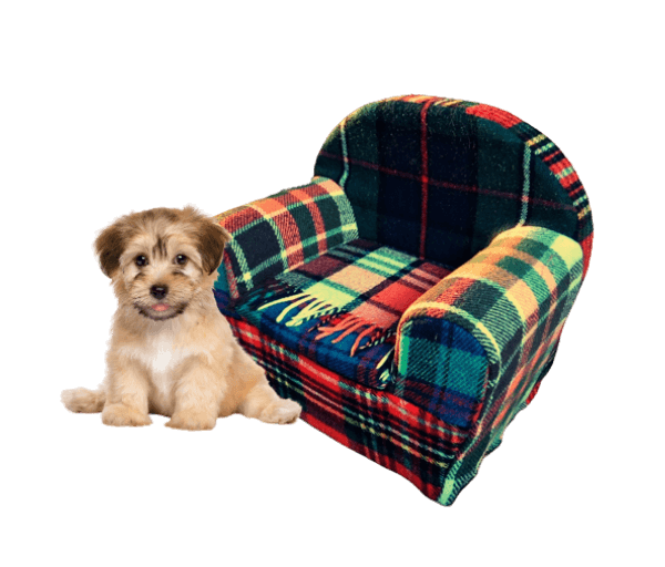 .Plaidstoeltje kat/klein hondje