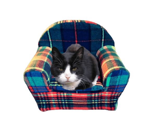 .Plaidstoeltje kat/klein hondje - Afbeelding 5