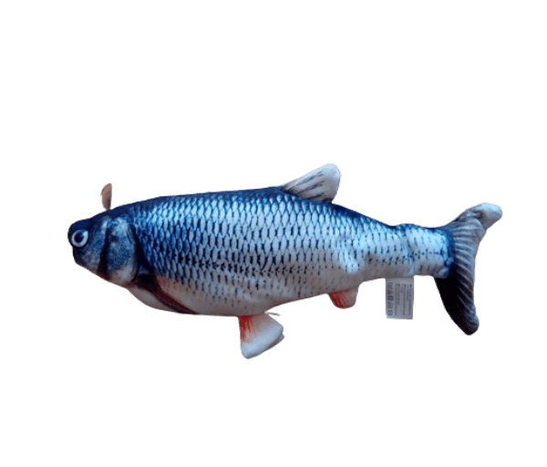 Bewegende Kroeskarper Kattenspeeltje Vis - Afbeelding 3