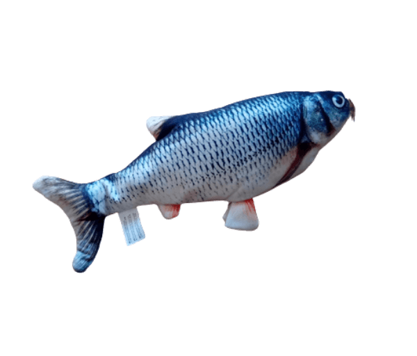 Bewegende Kroeskarper Kattenspeeltje Vis - Afbeelding 2