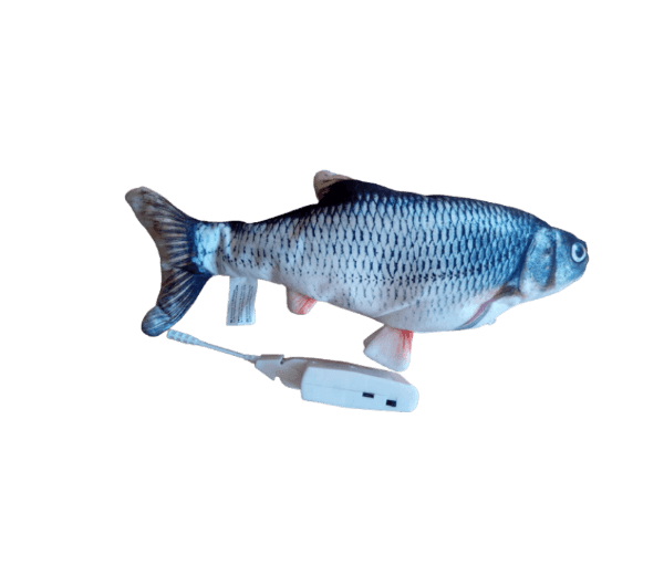 Bewegende Kroeskarper Kattenspeeltje Vis