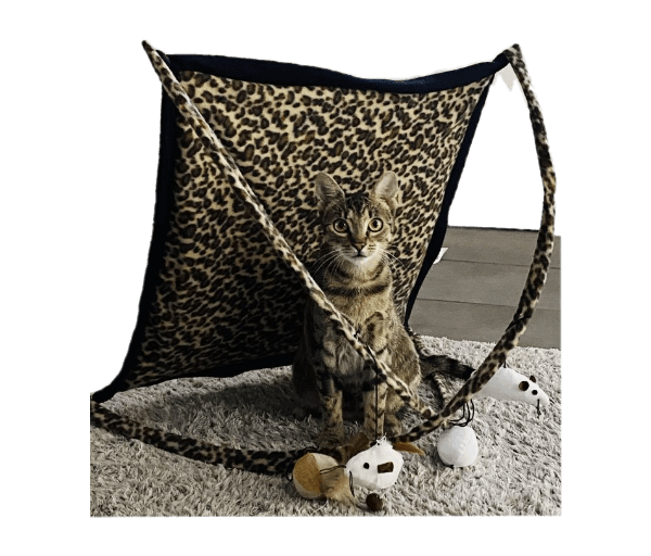 .Speelmat luipaardmotief met bogen - Afbeelding 3