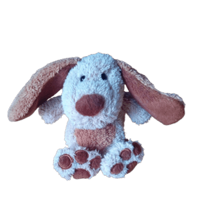 Hondje zittend bruintinten