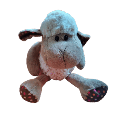 Schaap zittend