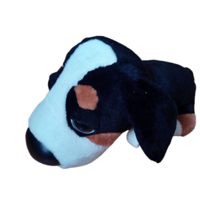 Hond met grote kop