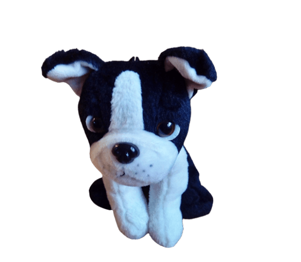 hondje zwart-wit