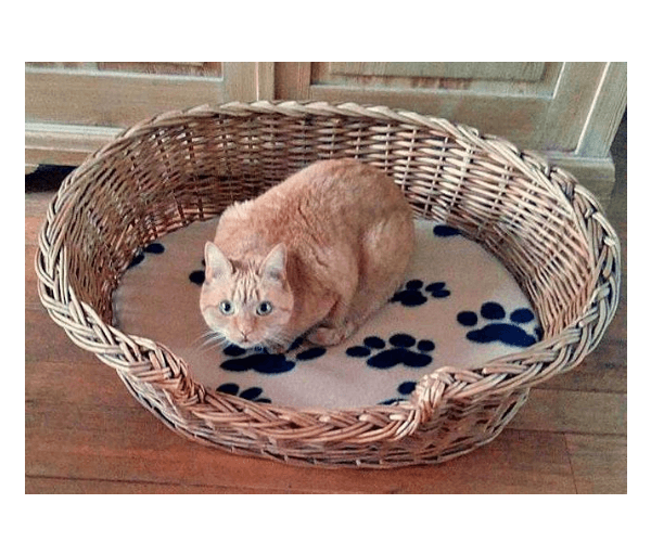 Mand riet 75 cm met kussen (pootafdrukjes) - Afbeelding 3