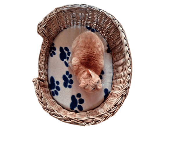 Mand riet 75 cm met kussen (pootafdrukjes) - Afbeelding 5