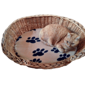 Mand riet 75 cm met kussen (pootafdrukjes)