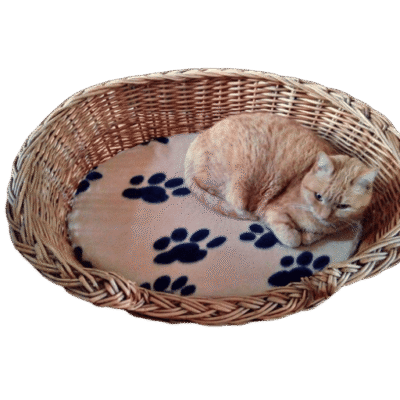 Mand riet 75 cm met kussen (pootafdrukjes)
