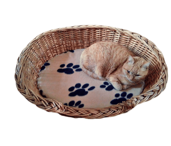 Mand riet 75 cm met kussen (pootafdrukjes)