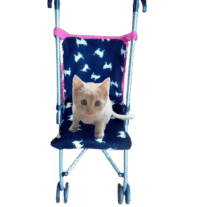 .Poezen-/poppenbuggy