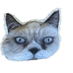 Kussen kattenkopje pers