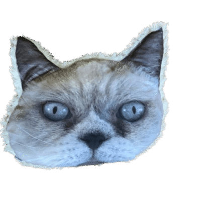 Kussen kattenkopje pers