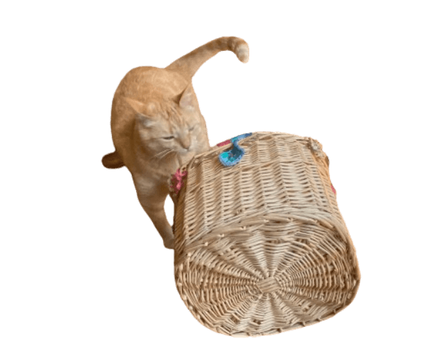 Rieten retro flessenmand met haakwerkjes - Afbeelding 7