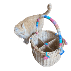 Rieten retro flessenmand met haakwerkjes