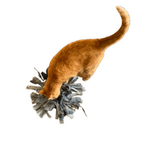 Snuffelmat spijkerstof allerlei S