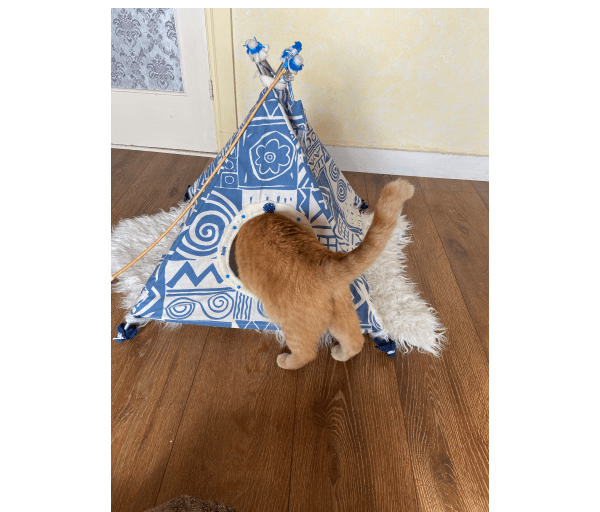 .Tipi blauw A voor kat of klein hondje - Afbeelding 2