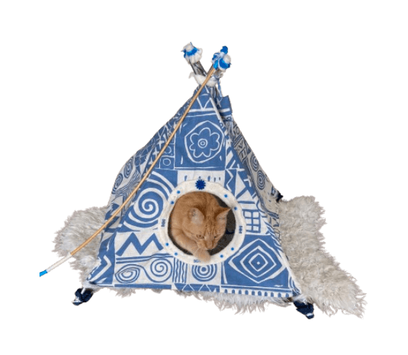 tipiblauwgati