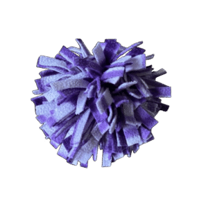 Snuffelbal repen paars lila