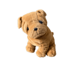 Hond Shar-pei