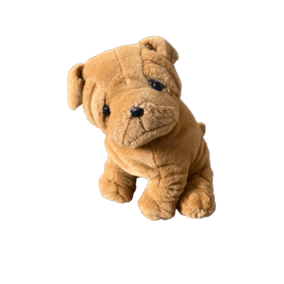 Hond Shar-pei
