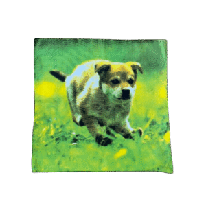 Kussenhoes rennende pup