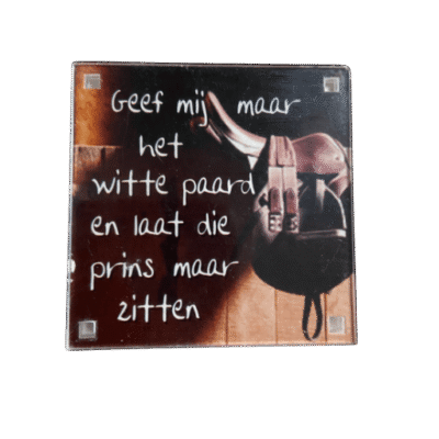 Magneetbordje met paardenspreuk